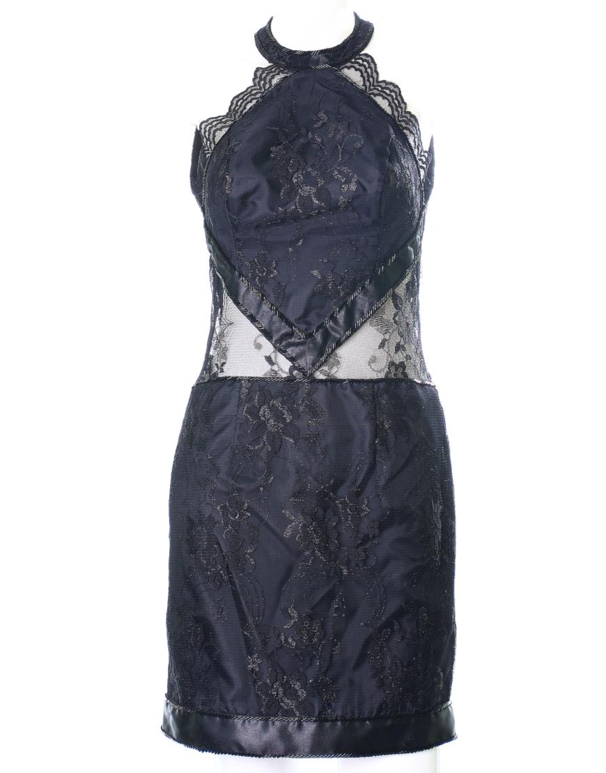Lace panel round-neck embellished dress
