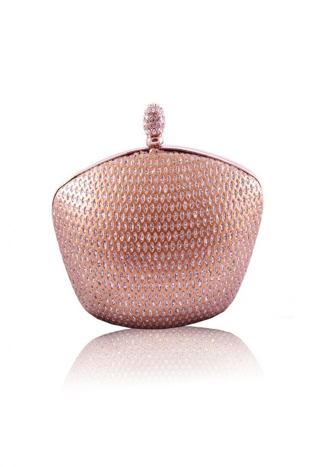 Gold Hard Case Diamond Clutch