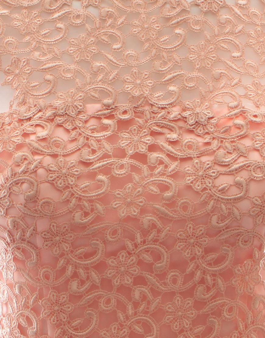Chiffon lace detail feather dress style Prabal Gurung in Beige