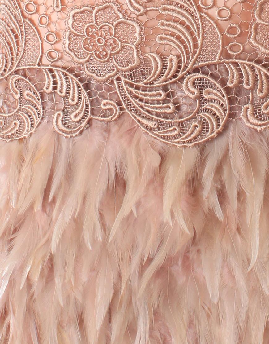 Halter neck lace trim-detailed feather dress in Red & Beige