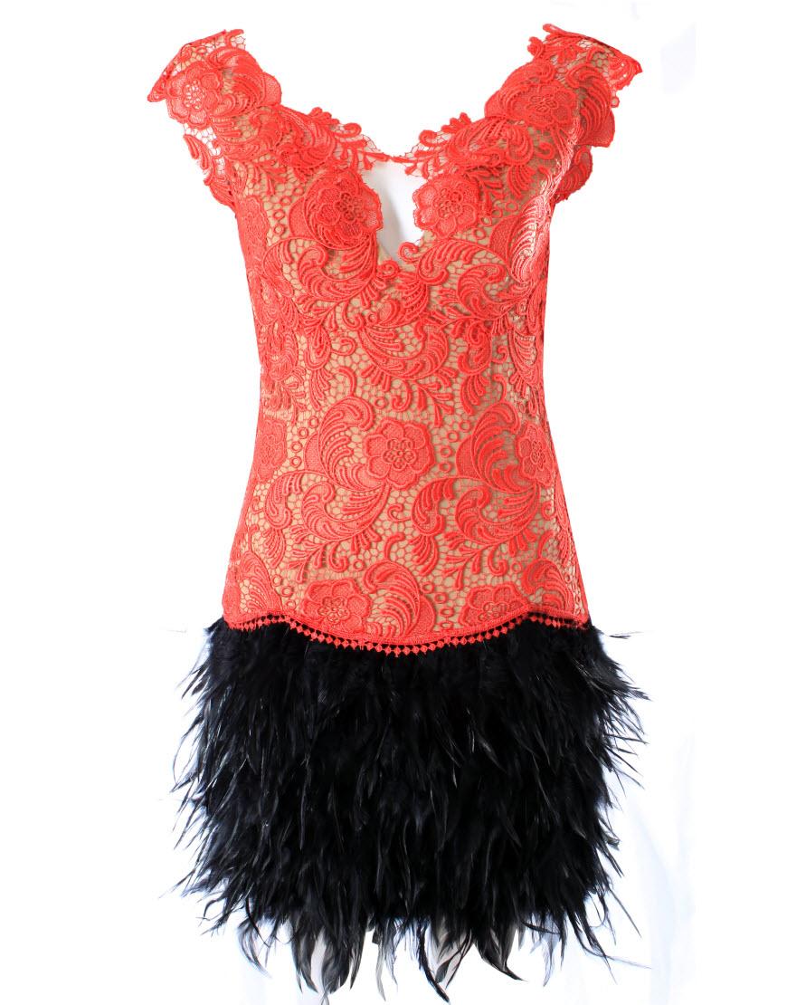 Deep V neck lace detailed feather dress in Red overlaid nude