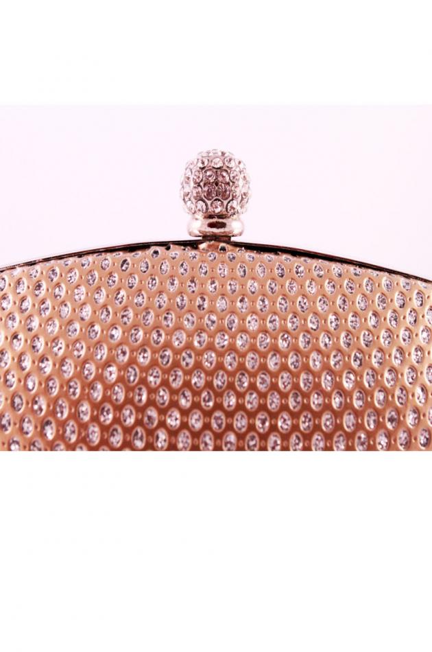 Gold Hard Case Diamond Clutch