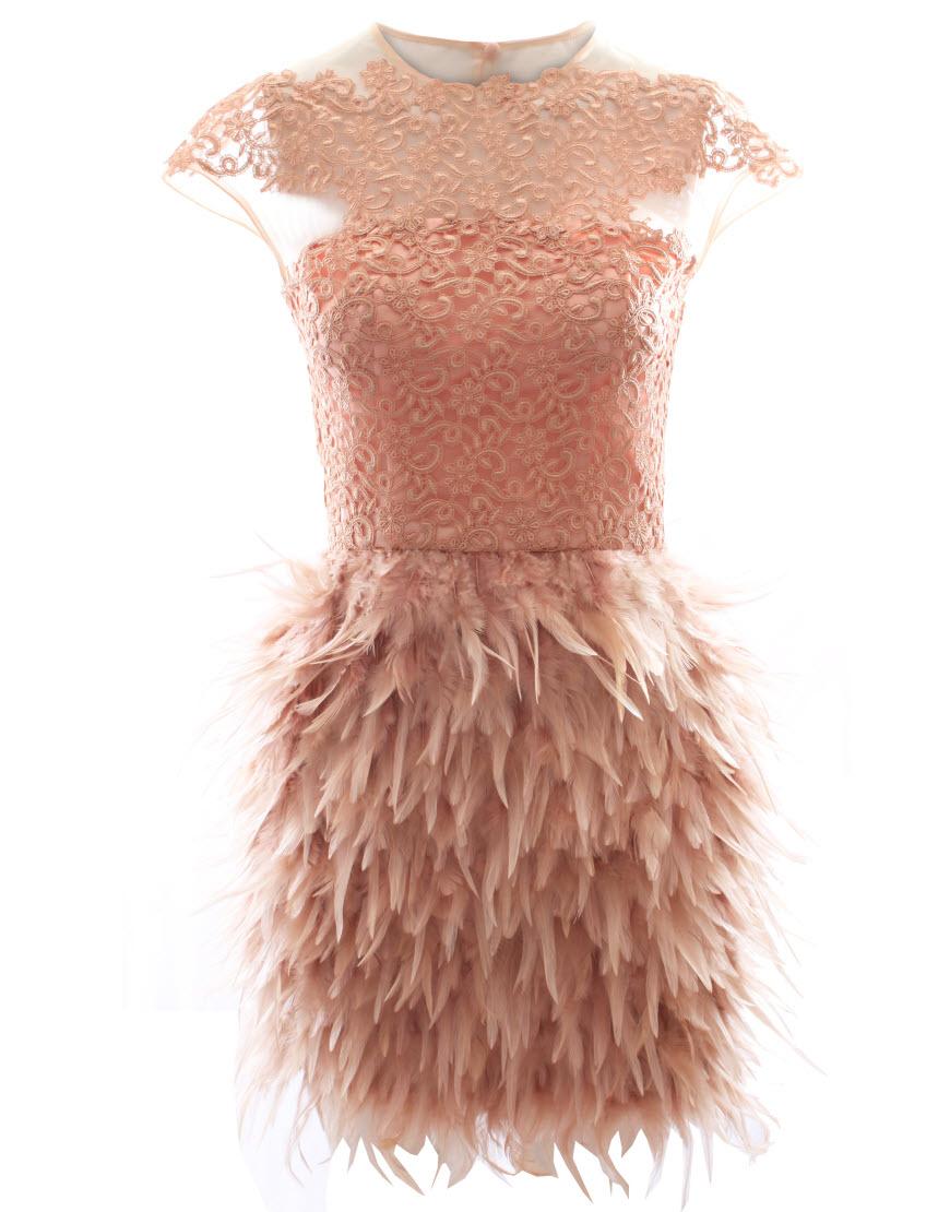 Chiffon lace detail feather dress style Prabal Gurung in Beige