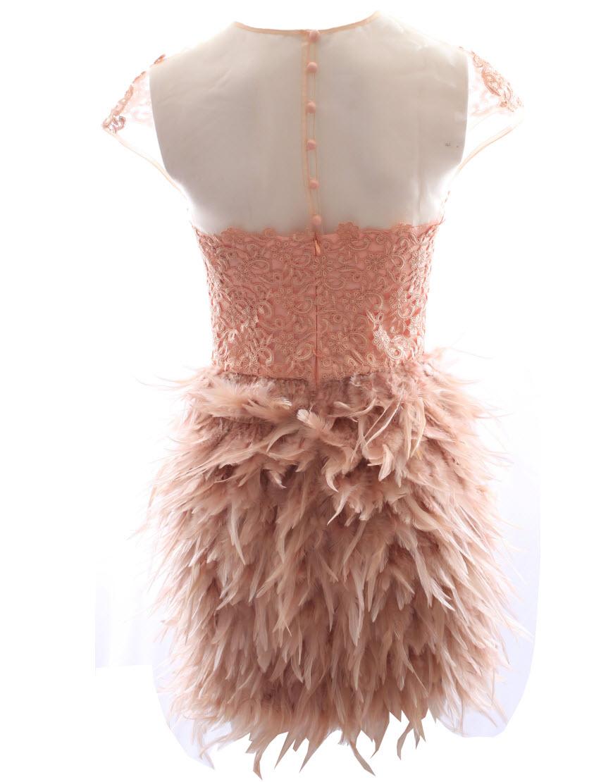 Chiffon lace detail feather dress style Prabal Gurung in Beige